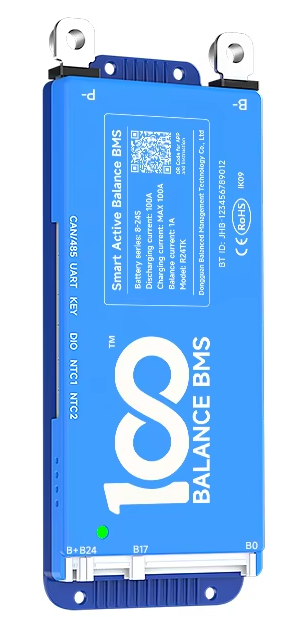 100 Balance BMS R24TK1A-8S
